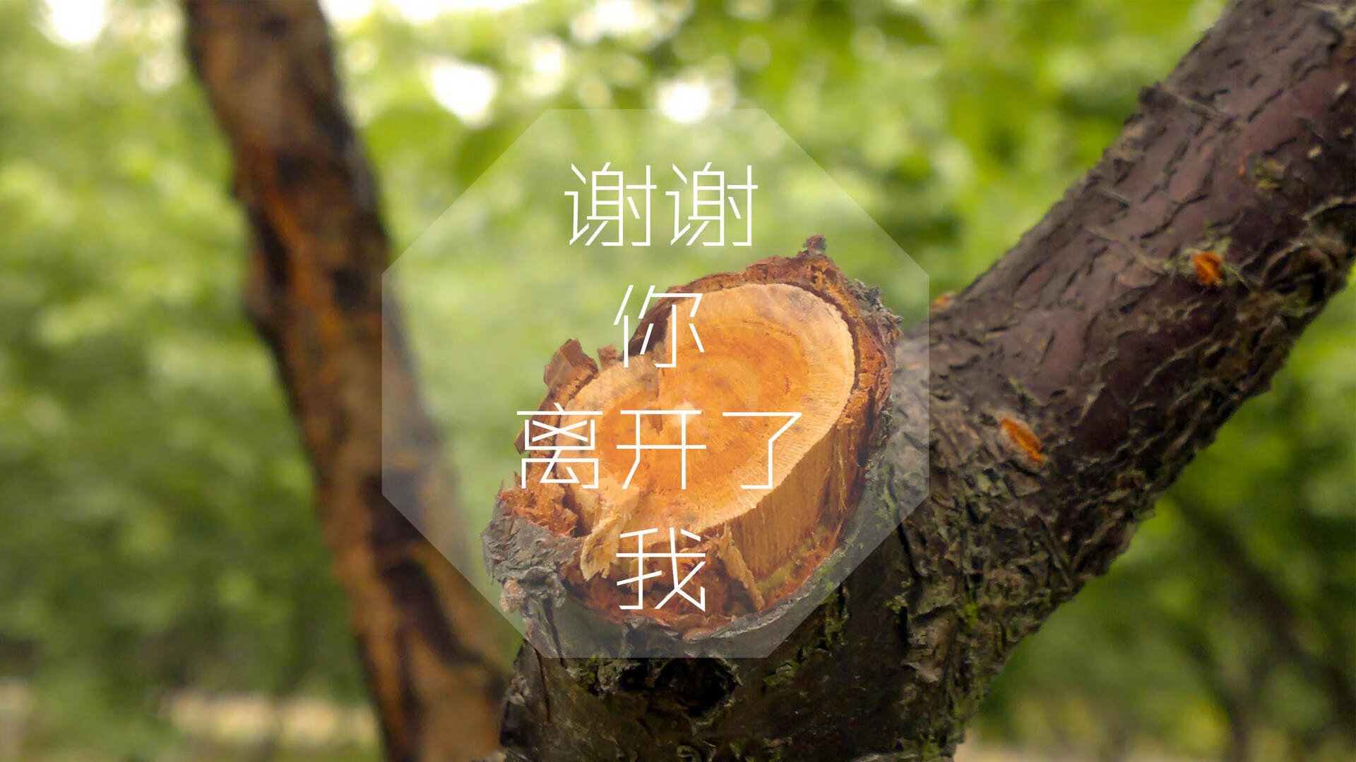 罗马防线坚固不摧，罗马后防线
