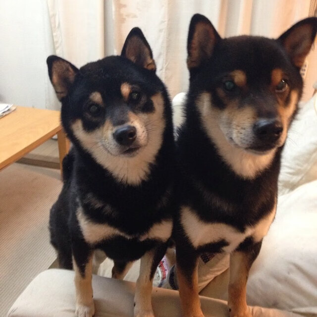 kaiyun体育综合-中国三人篮球男队提升转换进攻稳定性，中国男篮三人篮球队员是谁