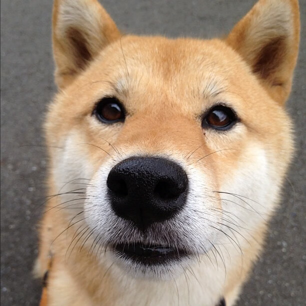 中国香港队赛制影响:如何通过赛制优化团队整体竞争力,香港队再添一枚奖牌