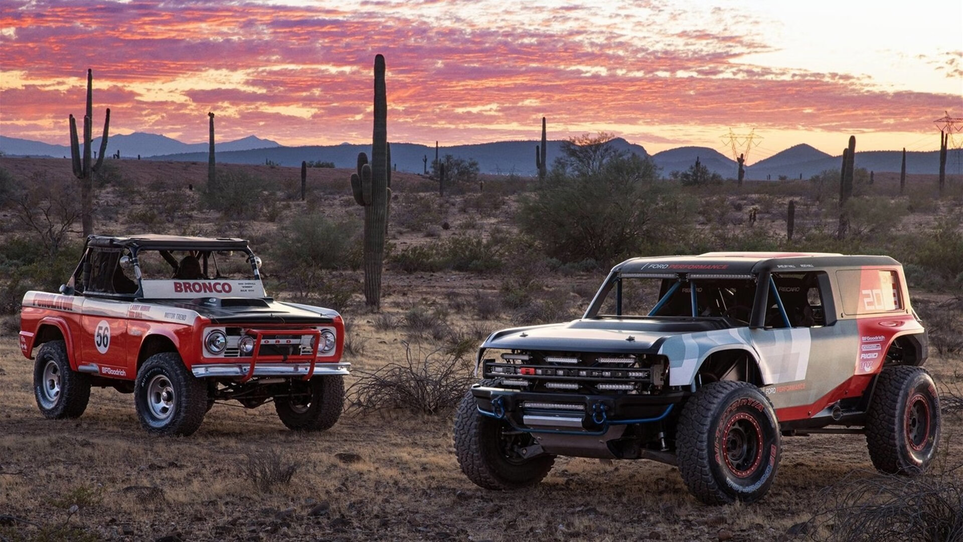 出发弹跳力提升,抢占领先先机,弹跳发力原理