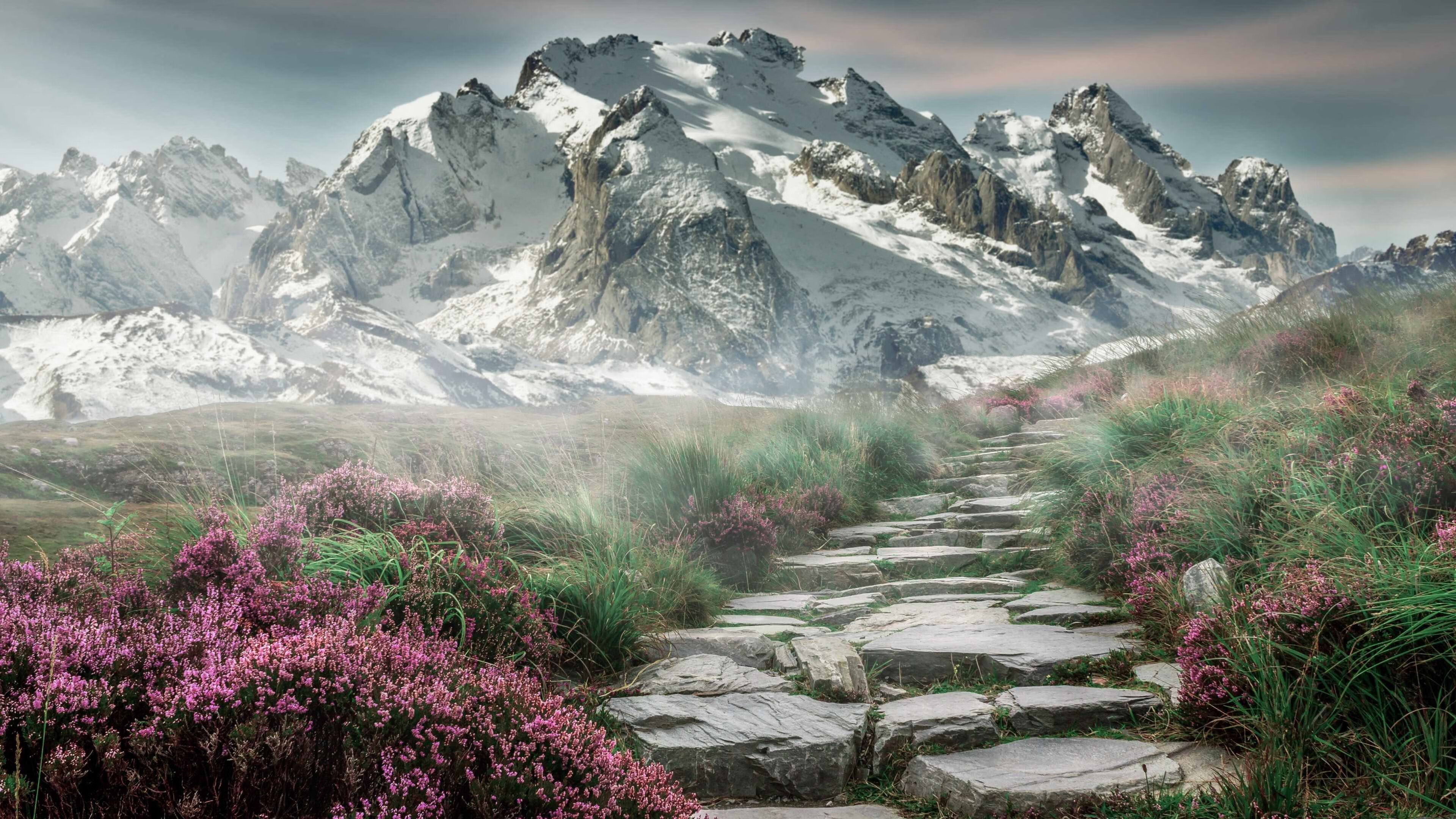 开云网站-吴前控场能力提升浙江队表现稳健，浙江队吴前伤势怎么样