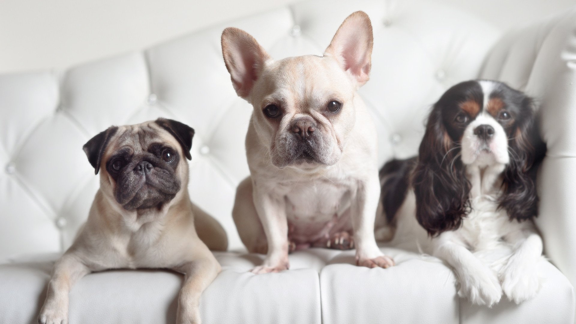 开云入口-纽卡斯尔转换进攻速度明显加快，纽卡斯尔转会新闻