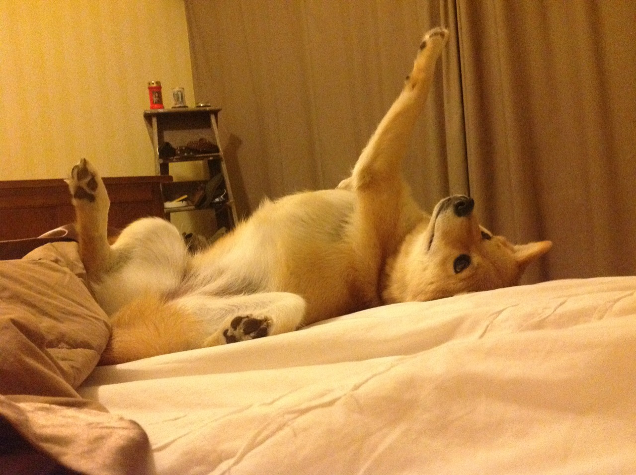 阿森纳高强度跑动压迫对手后场,阿森纳强吗