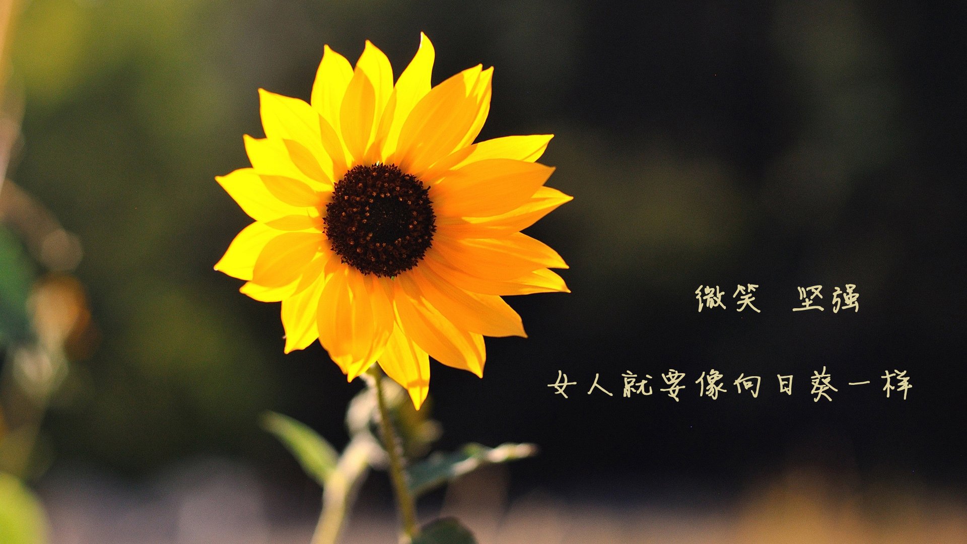 中国足球青少年赛事推行统一比赛心理指导计划,全国青少年足球教学指南