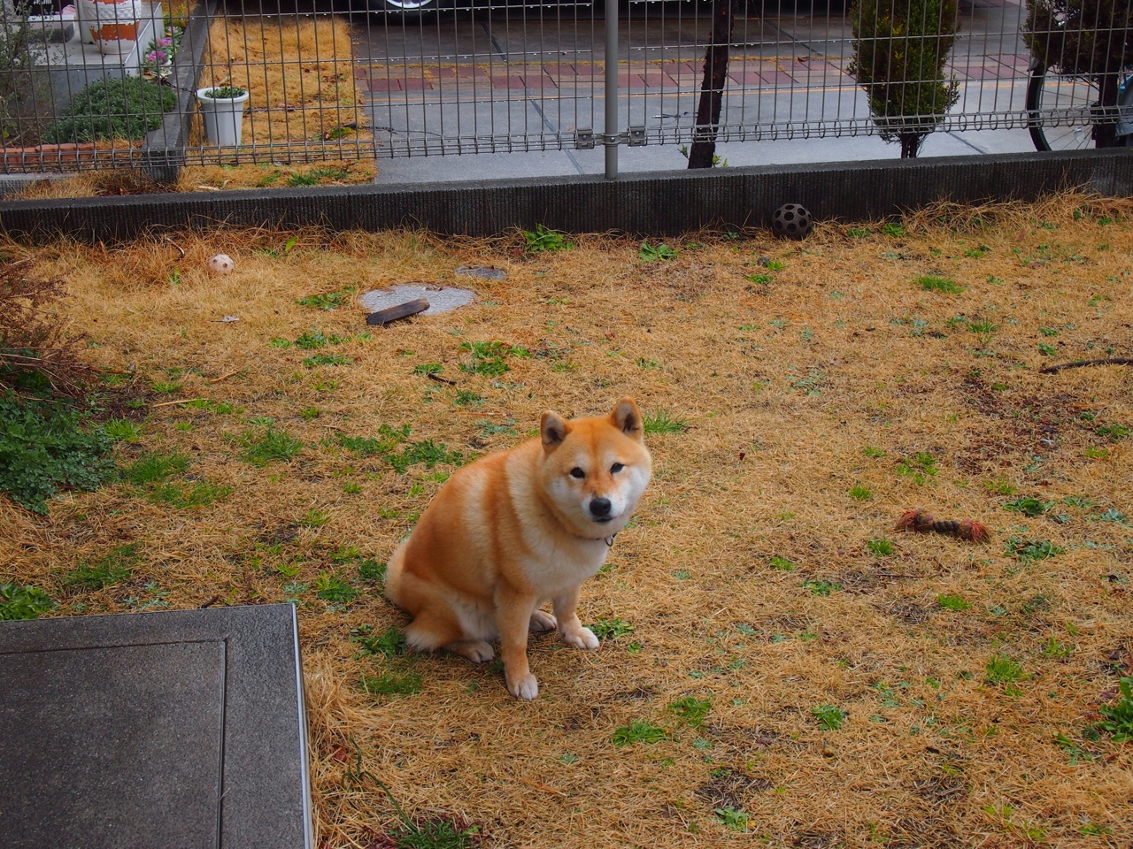 开云·体育官方网站入口-亚洲足球逐步走向世界舞台，预示未来潜力无限，2022年亚洲足球