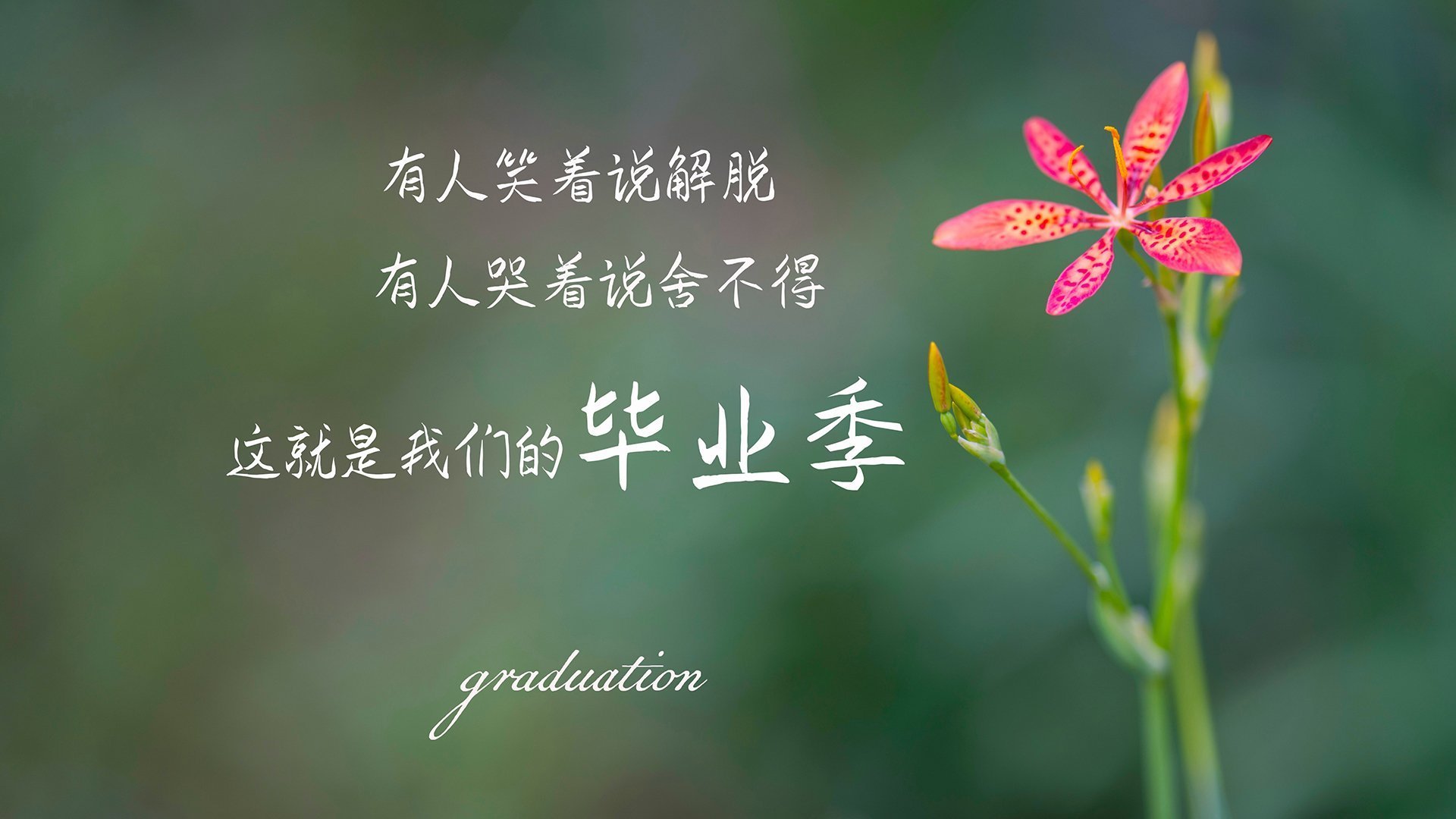 kaiyun网站-卡特的传球视野和精确度，令全黑队在场上始终占据优势，卡特10佳球