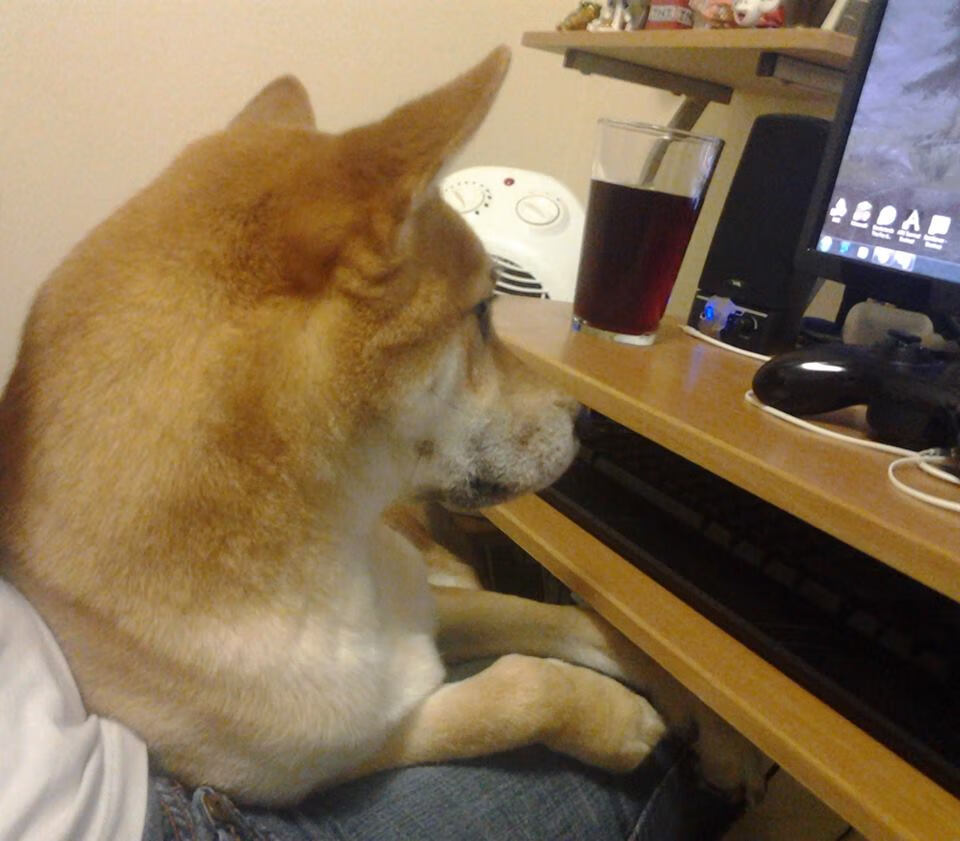 开云网站-德甲超级对抗：精彩纷呈，精彩不断，德甲超级杯直播