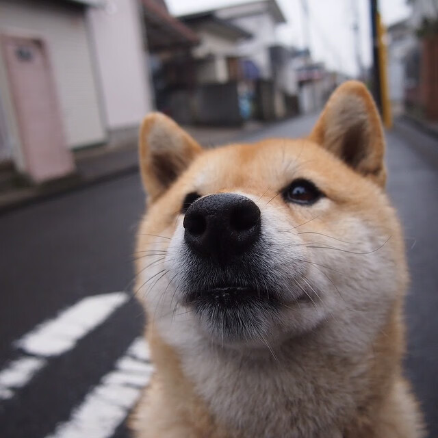 英超经典逆转：场面火爆，战术高超，英超大逆转